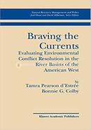 Braving the Currents image