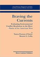 Braving the Currents image
