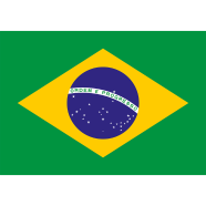 Brazil Flag FIFA World Cup 2026 image