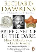 Brief Candle in the Dark image