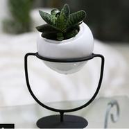 Brikkho Haat 1 Ring Table Stand (Only Metal Frame) image