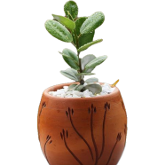 Brikkho Hat China Bot With 6 Inch Dim Pot Small image