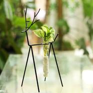 Brikkho Hat Deer Stand with Test Tube and Plants Manjula Pothos image
