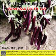 Naomi Seed Brinjal Singnath - 1 gm image