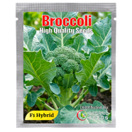 Broccoli Seeds - 20 Pcs image