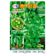 Brussels Sprouts Seeds - 20pcs image