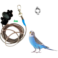 Budgerigar Bird Anklet Ring With 2m Elastic Harness Set image