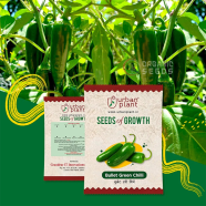 Bullet Green Chili Seeds F1 Hybrid image