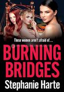 Burning Bridges image