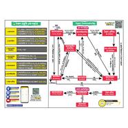 Cation Organic Transformative Map - 18/23Inch image