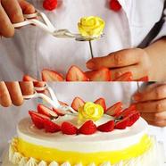 Cake Flower Lifter Cake Decorating Tool - C007123