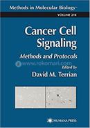 Cancer Cell Signaling image
