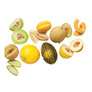 Cantaloupe Honey Melon Seeds 5 Pcs image