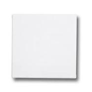 Canvas Square 4inch by 4inch