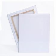 Canvas for Painting 20/20 image