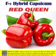 Naomi Seed Capsicum Red Queen - .5 gm icon