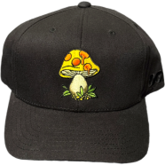 Capon Dgk Low Drip With Black Mashroom Graphic Cap image