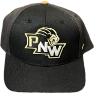 Capon Pnw Pride Baseball Black And Gold Cap image