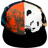 Capon Teenage Goorin Bros Unique Split-Panel Cap ( Kids Cap Age 6-18 ) Years image