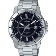Casio Stainless Steel image