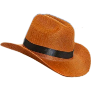 Cat Cowboy Hat || Funny Pet Hat for Puppy Cat image