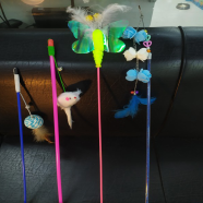 Cat Teaser Toy (Any One Pcs) image