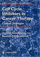 Cell Cycle Inhibitors in Cancer Therapy image