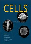 Cells image