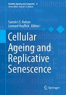 Cellular Ageing And Replicative Senescence image