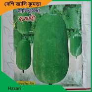 Chal Kumra Seeds image