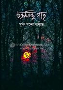 Chandrabindu Ghach image