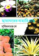ছায়াঘরের বাহারি গাছ image