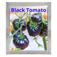 Chinese Black Hot Tomato Seeds (Intack Pack) 0.25 gm image