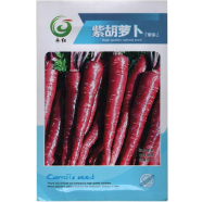 Chinese Black Wonder Carrot Seeds 0.1gm Re-Pack image