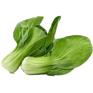 Chinese Cabbage Choi Seeds - 30 Pcs Plusf1 Hybrid All Season image