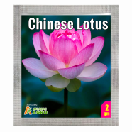 Chinese Lotus Flower Seeds (Intack Pack) 2 gm image