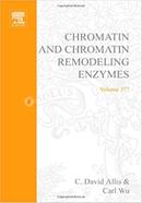 Chromatin and Chromatin Remodeling Enzymes image