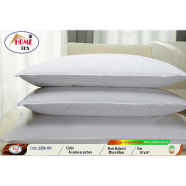 Classical Hometex Down Fill Pillow (18″X28″) image