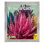 Colorful Rebutia Cactus Succulent Seeds (Intack Pack) 0.1 gm image