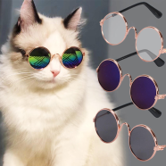 Colourful Sunglass For Pet image