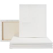 Combo 5pcs Canvas for Painting16/20
