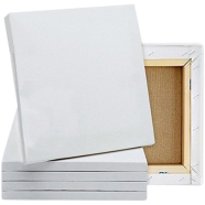 Combo of 20/30 Inches Drawing Canvas White -5 Pcs 
