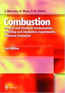 Combustion image