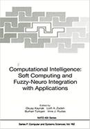 Computational Intelligence image