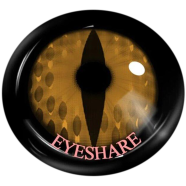 Cosplay Barclubhousea Brown Color Contact Lenses image