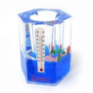 CrazyGifts Acrylic Big Hexagonal Paper Weight cum Pen Holder | Paperweight With Temperature Display, Desk Organiser, Pen Stand For Return