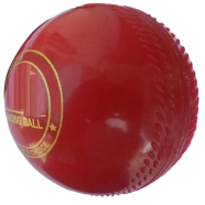 Cricket Hanging Ball image