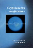 Cryptococcus Neoformans: Molecular Pathogenesis and Clinical Management image