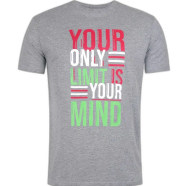 DEEN Grey T-shirt 184 image