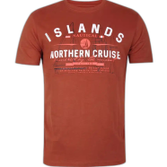 DEEN Terracotta T-shirt 183 image